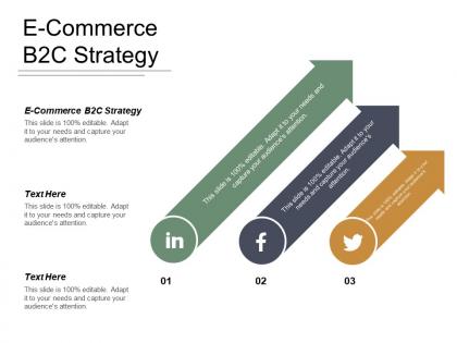 E commerce b2c strategy ppt powerpoint presentation file graphics tutorials cpb