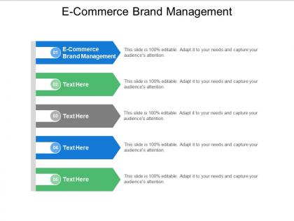E commerce brand management ppt powerpoint presentation styles example cpb