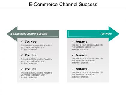 E commerce channel success ppt powerpoint presentation styles tips cpb