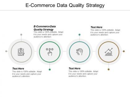 E commerce data quality strategy ppt powerpoint presentation infographic template styles cpb