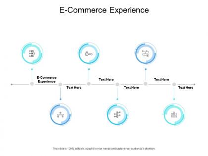 E commerce experience ppt powerpoint presentation file icon cpb