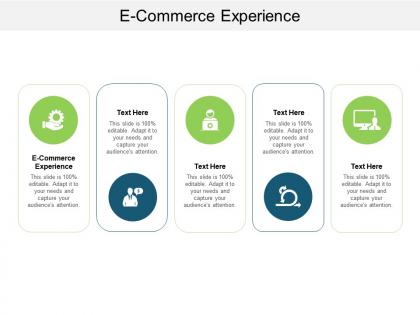 E commerce experience ppt powerpoint presentation infographic template good cpb