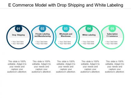 E commerce model with drop shipping and white labeling