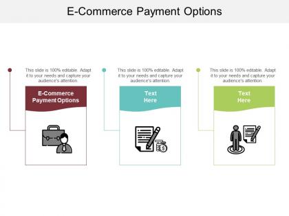 E commerce payment options ppt powerpoint presentation inspiration picture cpb