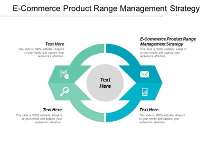 E commerce product range management strategy ppt powerpoint presentation file microsoft cpb