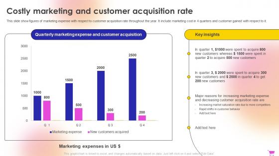 E Commerce Revenue Model Costly Marketing And Customer Acquisition Rate