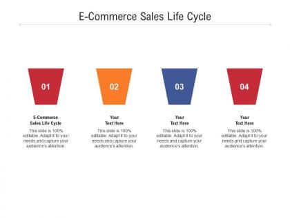 E commerce sales life cycle ppt powerpoint presentation summary elements cpb