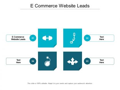 E commerce website leads ppt powerpoint presentation icon graphic tips cpb