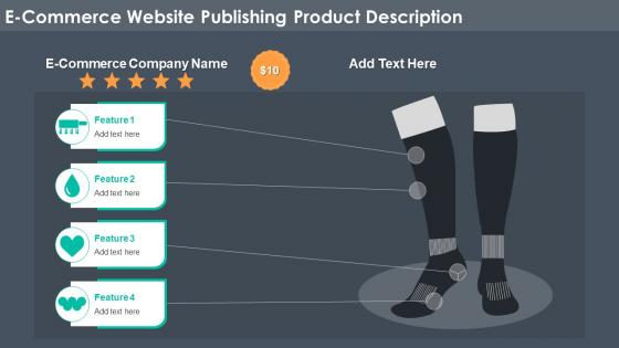 E Commerce Website Publishing Product Description