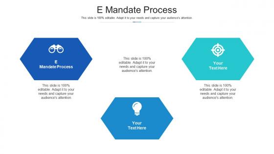 E mandate process ppt powerpoint presentation model graphic images cpb