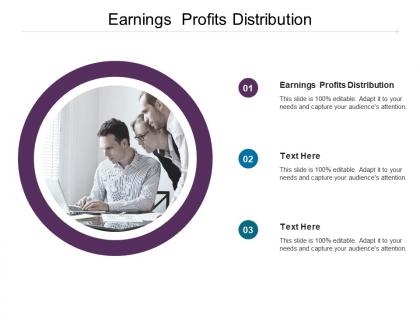 Earnings profits distribution ppt powerpoint presentation file outline cpb