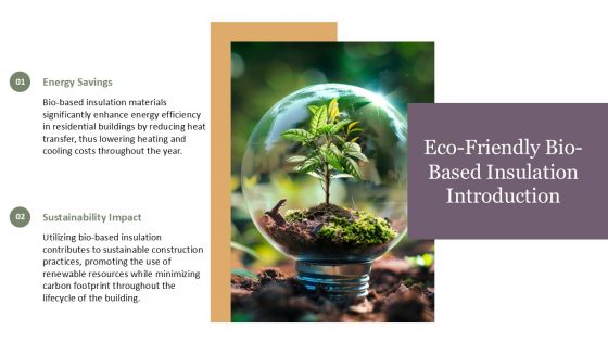 View of Eco Friendly Bio Based Insulation Materials PPT Slides ST AI