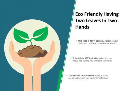 Eco friendly having two leaves in two hands