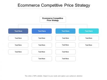 Ecommerce competitive price strategy ppt powerpoint presentation designs download cpb