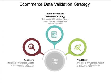 Ecommerce data validation strategy ppt powerpoint presentation infographic template cpb