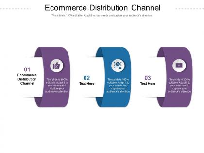 Ecommerce distribution channel ppt powerpoint presentation model examples cpb