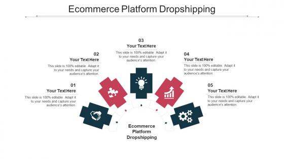 Ecommerce Platform Dropshipping Ppt Powerpoint Presentation Summary Visual Aids Cpb