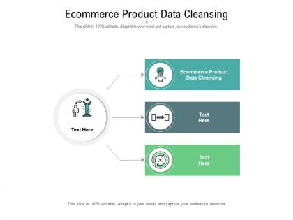 Ecommerce product data cleansing ppt powerpoint presentation portfolio design ideas cpb