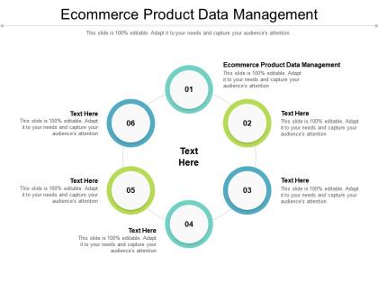 Ecommerce product data management ppt powerpoint presentation file designs cpb