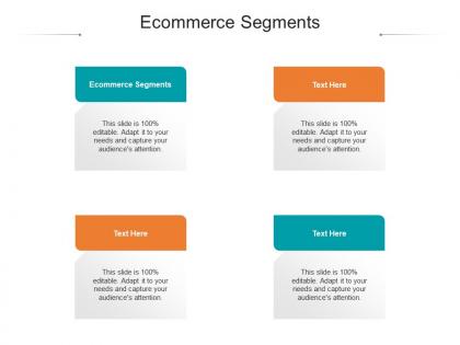 Ecommerce segments ppt powerpoint presentation example cpb