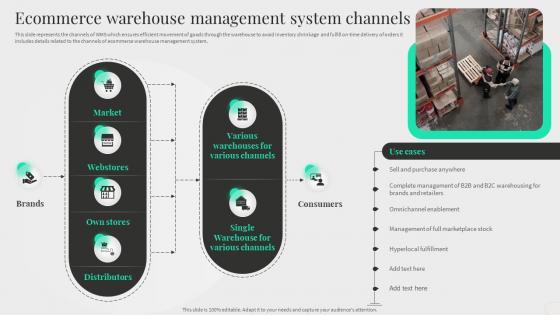 Ecommerce Warehouse Management System Channels Content Management System Deployment