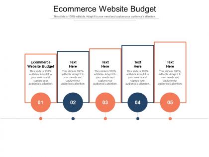 Ecommerce website budget ppt powerpoint presentation infographic template brochure cpb