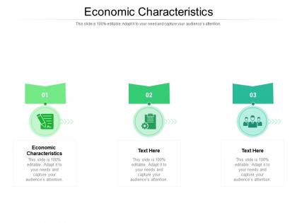 Economic characteristics ppt powerpoint presentation gallery objects cpb
