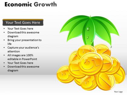 Economic growth ppt 2