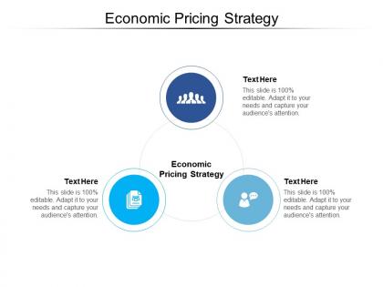 Economic pricing strategy ppt powerpoint presentation show slide portrait cpb