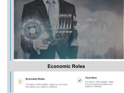 Economic roles ppt powerpoint presentation styles grid cpb