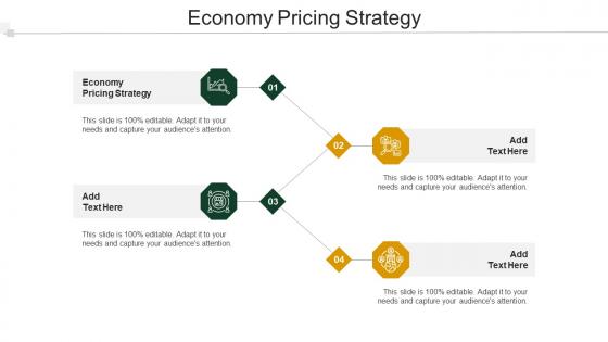Economy Pricing Strategy Ppt Powerpoint Presentation Portfolio Model Cpb