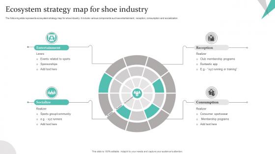 Ecosystem Strategy Map For Shoe Industry