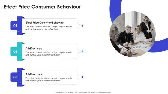 Effect Price Consumer Behaviour In Powerpoint And Google Slides Cpb