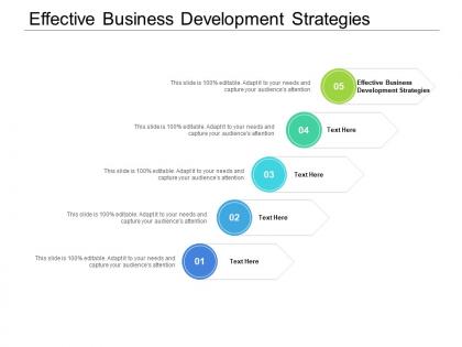 Effective business development strategies ppt powerpoint presentation layouts vector cpb