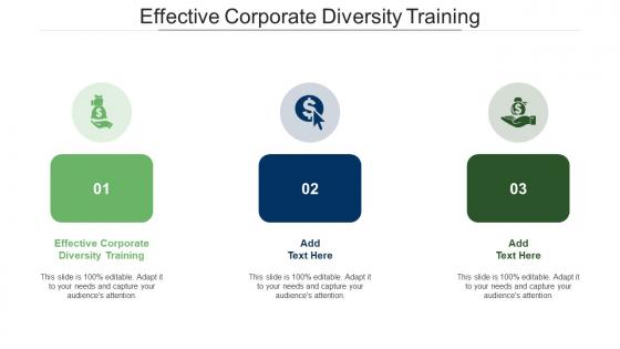 Effective Corporate Diversity Training Ppt Powerpoint Presentation Portfolio Layout Cpb