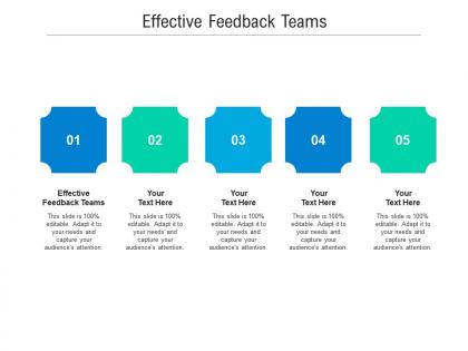 Effective feedback teams ppt powerpoint presentation icon graphics cpb
