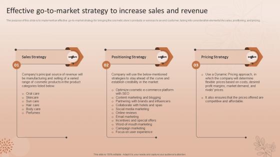 Effective Go To Market Strategy To Increase Sales And Revenue Natural Cosmetic Business Plan BP SS