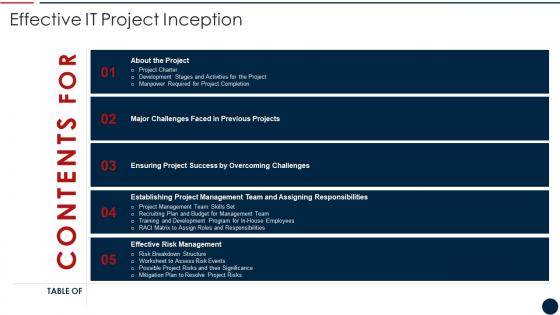 Effective IT Project Inception Table Of Contents