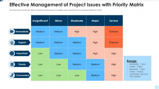 Effective management of project issues with priority matrix