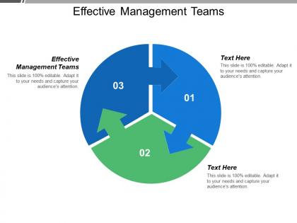 Effective management teams ppt powerpoint presentation model designs download cpb