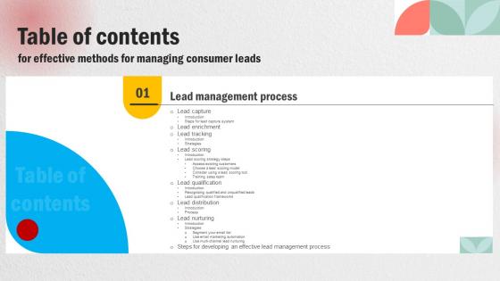 Effective Methods For Managing Consumer Leads Table Of Contents