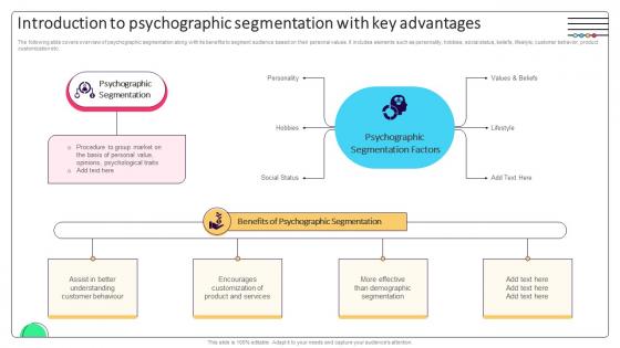 Effective Micromarketing Approaches Introduction To Psychographic Segmentation With Key MKT SS V
