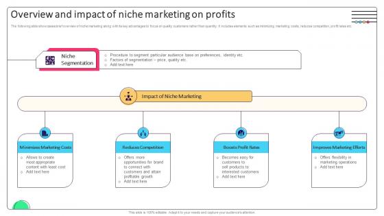 Effective Micromarketing Approaches Overview And Impact Of Niche Marketing On Profits MKT SS V