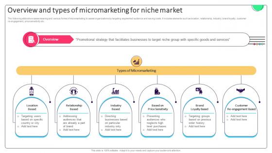 Effective Micromarketing Approaches Overview And Types Of Micromarketing For Niche MKT SS V