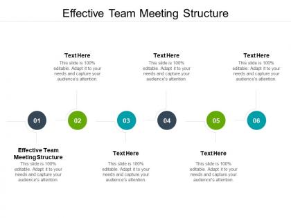 Effective team meeting structure ppt powerpoint presentation gallery cpb