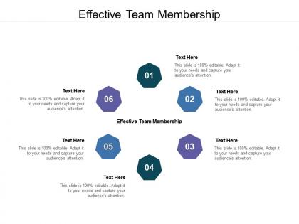 Effective team membership ppt powerpoint presentation file outfit cpb
