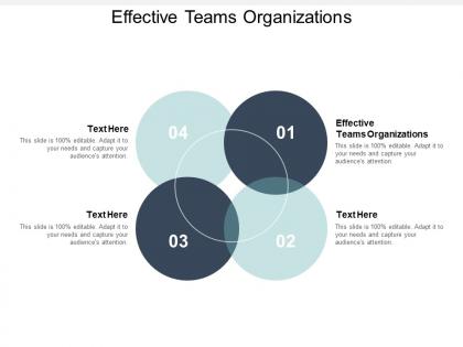 Effective teams organizations ppt powerpoint presentation outline summary cpb