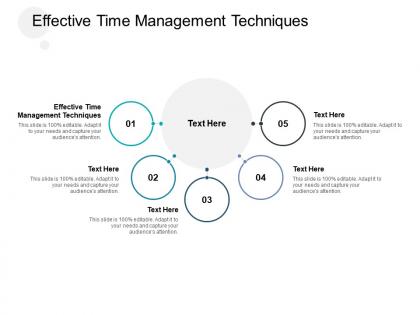 Effective time management techniques ppt powerpoint presentation ideas gallery cpb