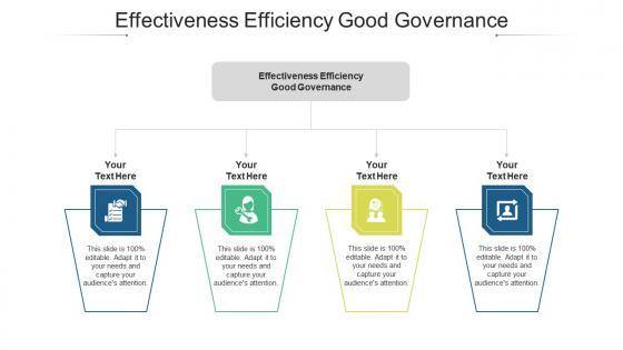 Effectiveness efficiency good governance ppt powerpoint presentation model skills cpb