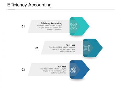Efficiency accounting ppt powerpoint presentation infographic microsoft cpb